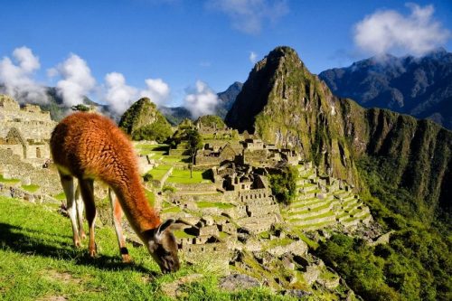 Cox and Kings Treasures of Peru Solo Tour Machu Picchu