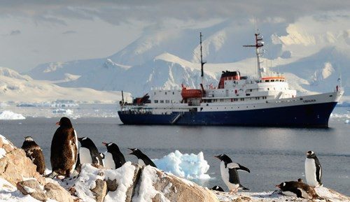 classic-antarctica-south-shetland-islands-10-11-days-16833