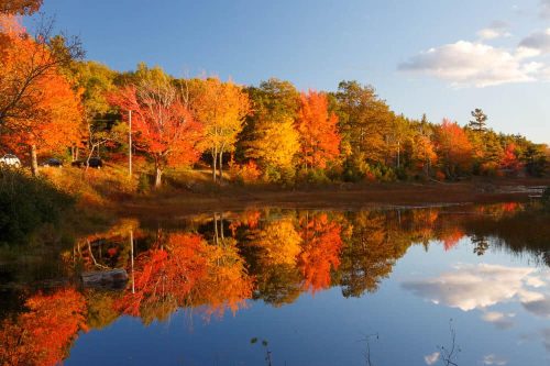 fall-colors-in-acadia-national-park-with-brilliant-colorful-trees-reflected-in-water