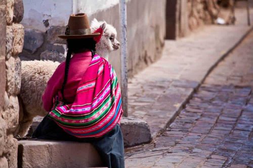 woman-in-traditional-clothes-with-lama-sitting-on-stone-in-cuzco-perujpg