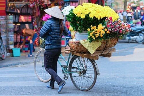 woman-in-traditional-vietnamese-hat-on-bicycle-selling-flowers-in-the-street-market-in-hanoi-vietnam